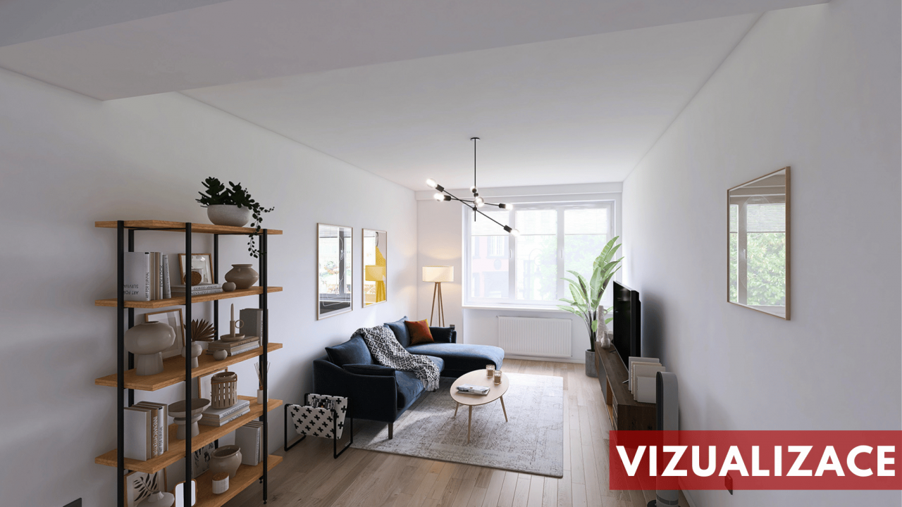 Vizualizace